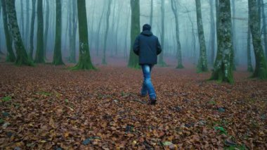 Sisli bir dağda sonbahar yapraklarından bir halıda tek başına yürüyen yaşlı bir adamın üzüntüsü..