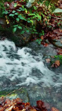 Taze bir İtalyan dağından akan saf su..