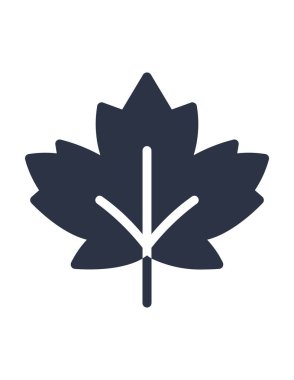 maple, leaf isolated on white background.