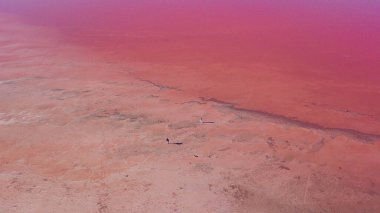 Pembe Tuz Gölü Sasyk-Sivash Kırım