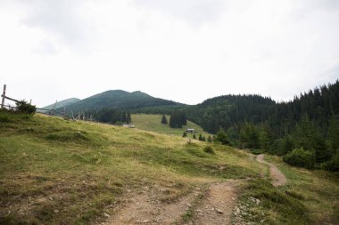 Yaz mevsiminde dağ tepesinde toprak yol