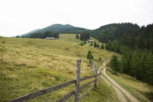 Dirt Road Mountain Hill Summer Time — Stock Photo, Image