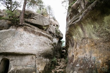 Dağlardaki mağara şehri ulusal parktaki ormanların arasında. Dovbush kayaları, Ukrayna