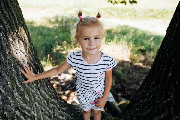 夏の公園のドレスの少女の肖像画 — ストック写真