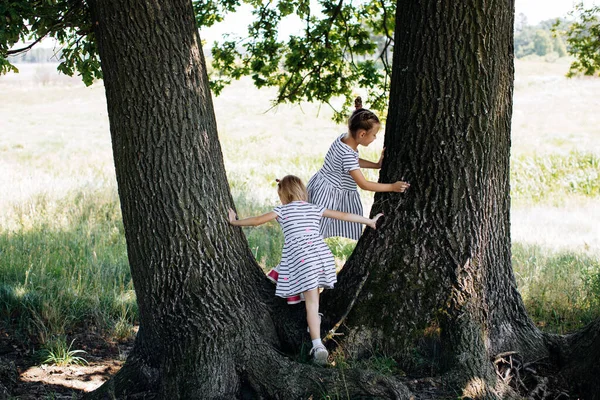 Crianças Meninas Jogar Parque Verão Subir Árvores — Fotografia de Stock