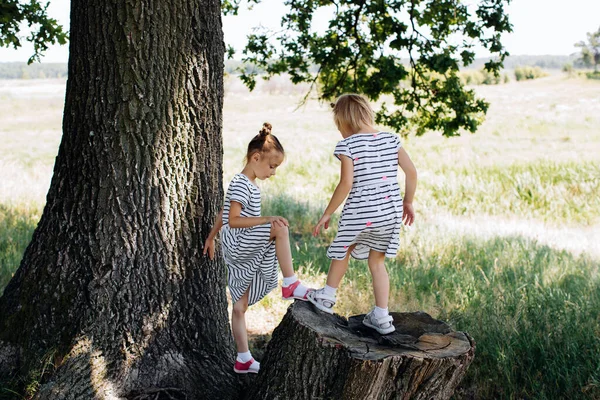 Los Niños Juegan Parque Verano Aire Libre Vacaciones Infantiles — Foto de Stock