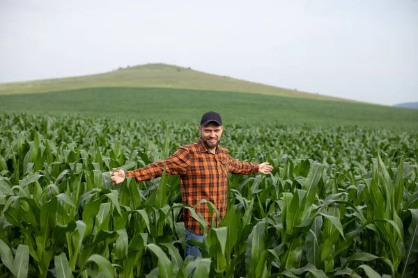 緑のトウモロコシ畑の中の若い農家の肖像画 — ストック写真