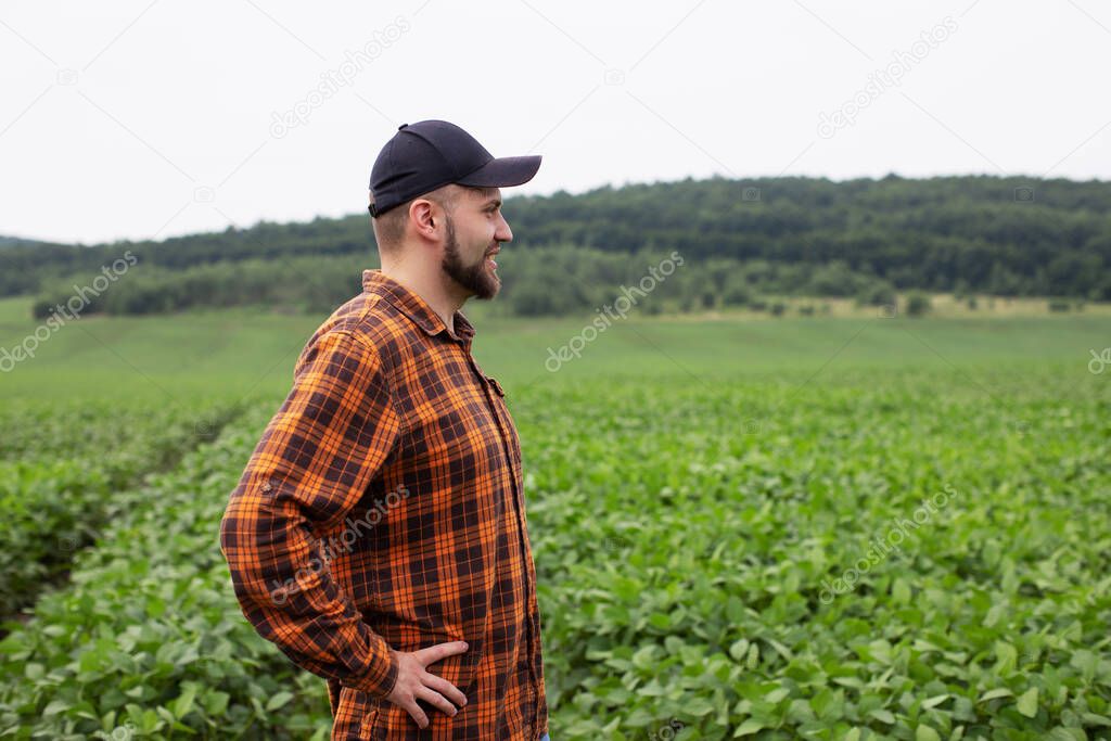 Happy farmer smiles and inspects a green soybean field. Agriculture
