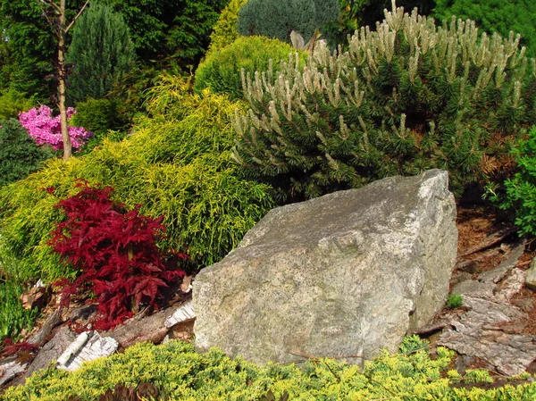 Gorgeous garden, garden still life on a slope with stones planted with various colorful trees and plants, spring season