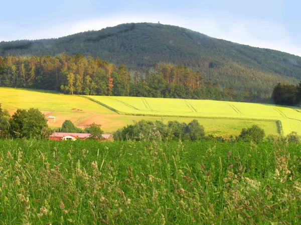Verano rural paisaje montañoso con prado verde, campos amarillos, vista de la montaña llamada Blanik —  Fotos de Stock