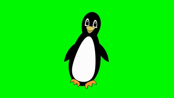 Пингвин ходит по зеленому экрану, милый талисман, птичий мультфильм изолирован, красивый талисман — стоковое видео