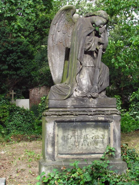 Надгробие со статуей ангела на заброшенном старом кладбище — стоковое фото