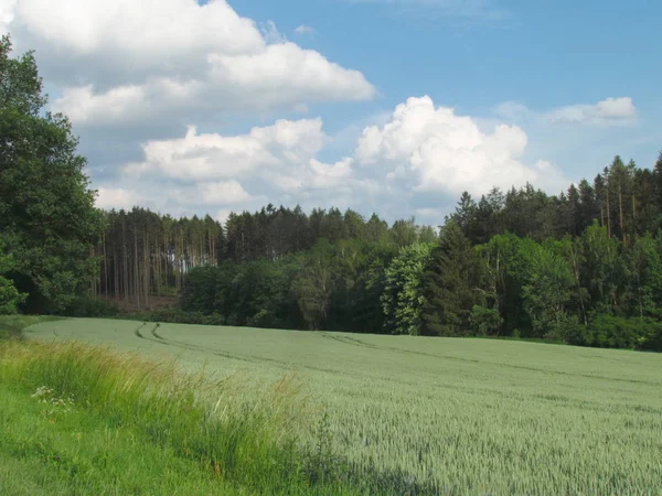 Sommerlandschaft hügelige Landschaft mit smaragdgrünen Wiesen, bewaldeten Hügeln am Horizont und dramatischen Wolken am Himmel — Stockfoto