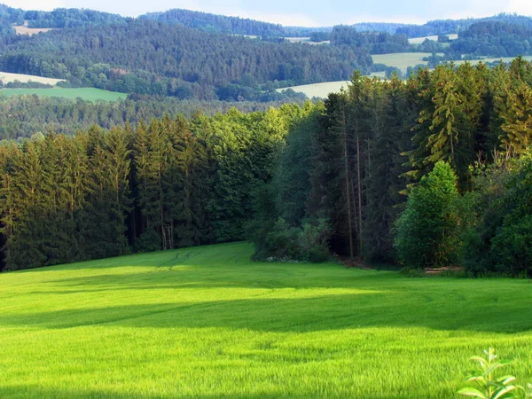 Prado verde na paisagem montanhosa rural, país com prado verde no verão, floresta, República Checa — Fotografia de Stock