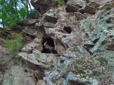 Yosun ve liken ile kaplı sağlam kaya