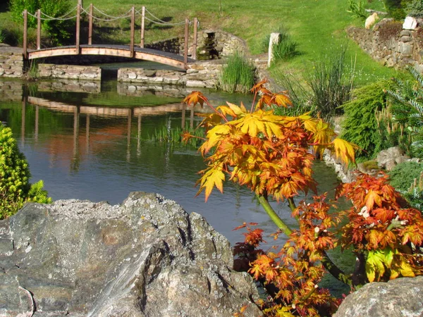 Ogród wciąż życie z powierzchnią wody, drewniany most, kamienie i kolorowe rośliny. Ogród w stylu japońskim — Zdjęcie stockowe
