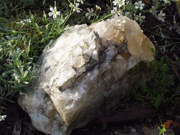 White natural quartz in grass, beautiful transparent crystal — Stock Photo, Image