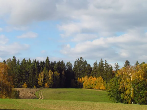 Colorido paisaje otoñal, prado y borde del bosque, nubes dramáticas —  Fotos de Stock