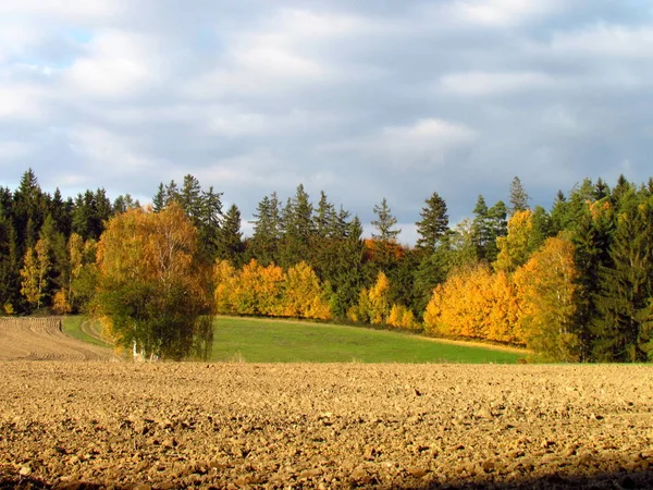 Hermoso paisaje de otoño colorido, prado, campo cosechado y borde del bosque, nubes dramáticas —  Fotos de Stock