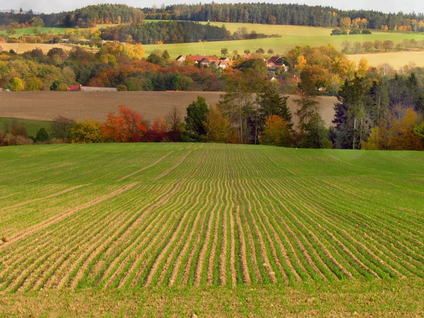 Tranquilo paisaje colorido otoño en la República Checa, prado y horizonte montañoso , —  Fotos de Stock