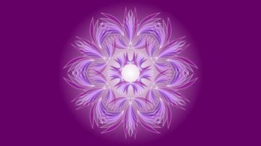 Beyaz kıvrımlardan oluşan hassas mandala yelkenli, kendine özgü bir arka planda. Çiçeğin püsküllü yaprakları süsün merkezinden genişler. Güzel animasyon meditasyon yardımı.