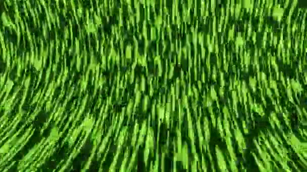 绿色的自然微观世界，抽象的动画背景由绿点变化的形状组成。适用于环境主题、自然纪录片的制作 — 图库视频影像
