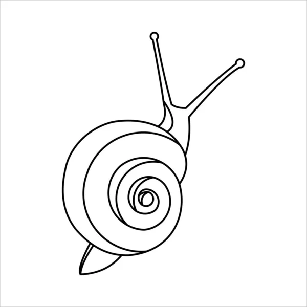 Snail Coloring Book Kids Adults Vue Dessus Symbole Lenteur Illustration — Image vectorielle