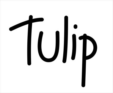 Lale. Beyaz arkaplanda el yazısıyla yazılmış Kelime Harfleme Vektör ResmiName.