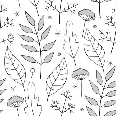 Elle çizilmiş Vektör Çiçeksiz Bitkiler, Yapraklar, Meyveler ve Çiçekler. Beyaz bir arka plandaki Doğal Düzen 'i incele. Boyama Kitabı Sayfası.