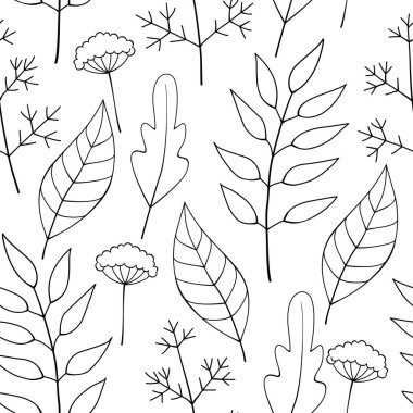 Elle çizilmiş Vektör Çiçeksiz Bitkiler, Yapraklar ve Çiçekler. Beyaz bir arka plandaki Doğal Düzen 'i incele. Boyama Kitabı Sayfası.