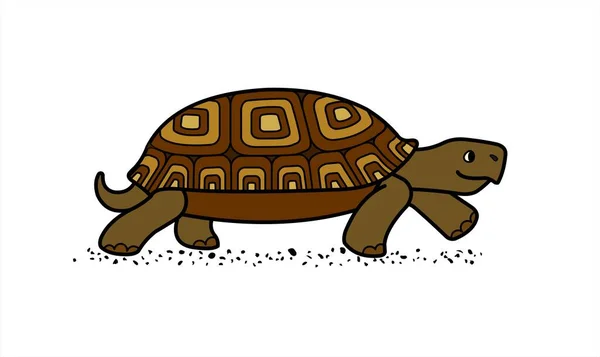 Vector Lindo Tortuga Terrestre Con Concha Estampada Vista Lateral Aislado — Archivo Imágenes Vectoriales