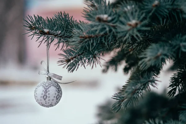 Silver white christmas ball on fir tree branch close up