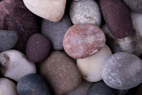 Varied Pebbles Top View Texture — Stock Photo, Image