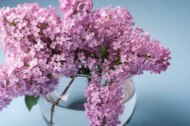 Mavi arka plan üzerinde küre şeffaf vazo çiçekli leylak buketi