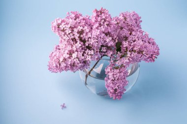 Küçük çiçek ile mavi arka plan üzerinde küre şeffaf vazo içinde Çiçekli leylak buketi
