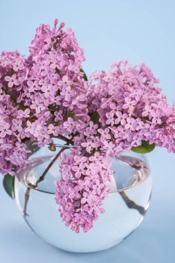 Mavi arka plan üzerinde küre şeffaf vazo çiçekli leylak buketi