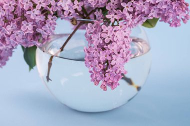 Mavi arka plan üzerinde küre şeffaf vazo çiçekli leylak buketi