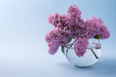 Mavi arka plan üzerinde küre şeffaf vazo çiçekli leylak buketi