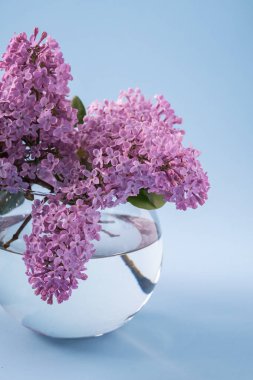 Mavi arka plan üzerinde küre şeffaf vazo çiçekli leylak buketi