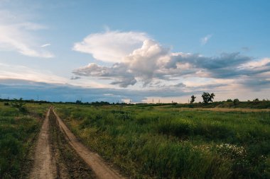 Akşam çim, ağaç ve bulutlar ile Ülke yol görünümü