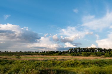 Akşamları çimenler, ağaçlar ve bulutlar ile ülke görünümü