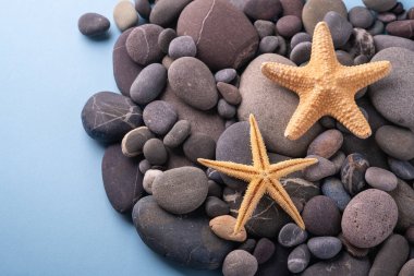 Çakıl taşlı iki denizyıldızı yaz doku üst görünümü yakın mavi arka plan kadar