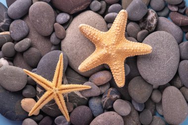 Çakıl taşlı iki denizyıldızı yaz doku üst görünümü yakın mavi arka plan kadar