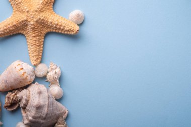 Yaz doku kopya uzay yıldızbalığı deniz kenarı üst görünüm mavi arka plan