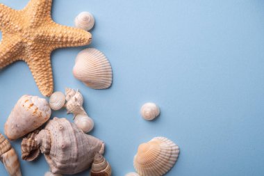 Yaz doku kopya uzay yıldızbalığı deniz kenarı üst görünüm mavi arka plan