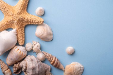 Yaz doku kopya uzay yıldızbalığı deniz kenarı üst görünüm mavi arka plan