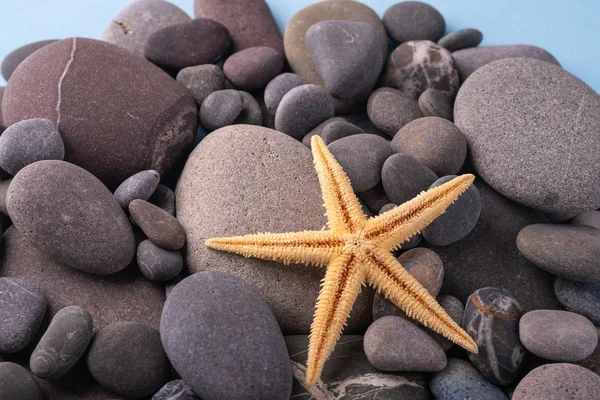 Çakıl taşlarında denizyıldızı yaz doku açısı görünümü yakın mavi arka plan