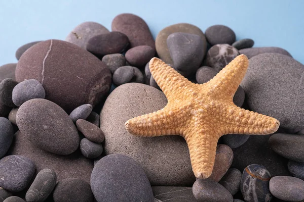 Çakıl taşlarında denizyıldızı yaz doku açısı görünümü yakın mavi arka plan