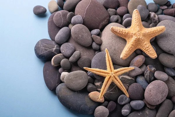 Çakıl taşlı iki denizyıldızı yaz doku üst görünümü yakın mavi arka plan kadar