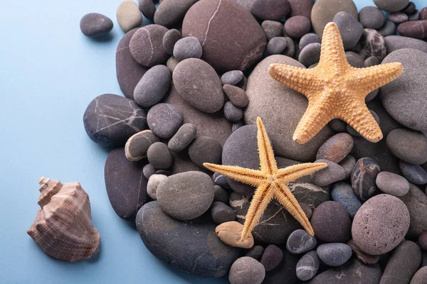 Deniz kabuğu yaz doku üst görünümü ile çakıl üzerinde iki denizyıldızı yakın mavi arka plan kadar